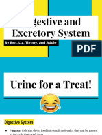 digestive and excretory