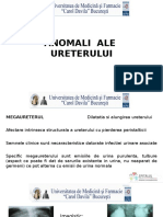 anomaliile ureterului