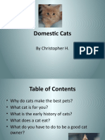 Domestic Cats: by Christopher H