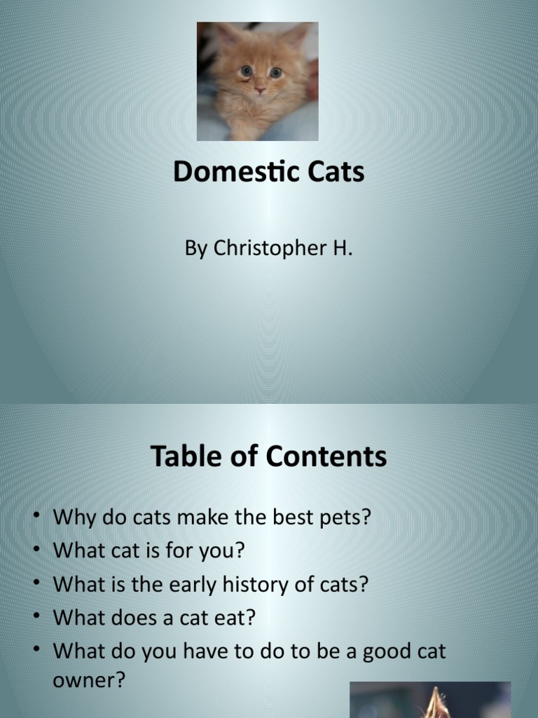 Understanding Domestic Cats | PDF