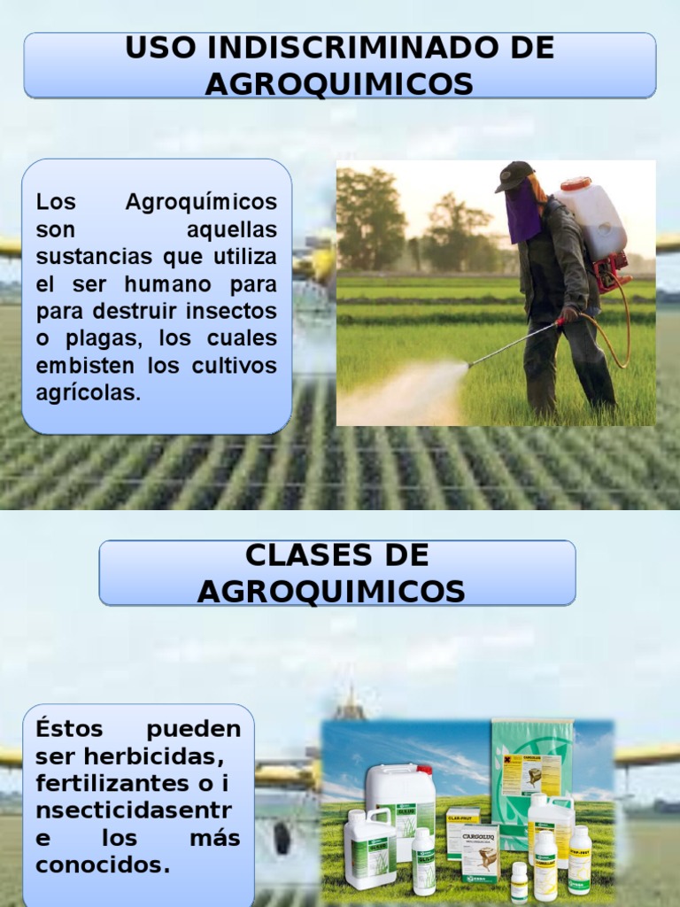 Uso Indiscriminado De Agroquimicos Pdf