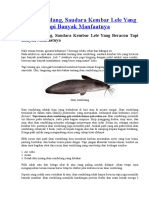 Ikan Sembilang