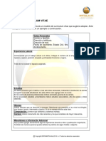 CV-instructivo-modelo.pdf