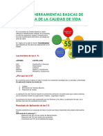 LAS 5 S en el Area de Empleo.pdf