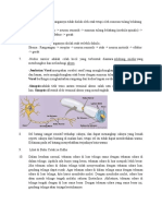 Jawaban Soal Evaluasi IPA BAB II