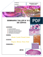 INFORME TALLER CA CUELLO.pdf