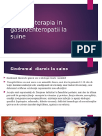 Farmacoterapia in Gastroenteropatii La Suine