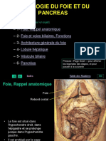 Foipanc PDF