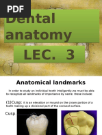 Anatomical Landmarks of Teeth | PDF | Dental Anatomy | Animal Anatomy