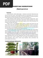 Download MATERI PELATIHAN HIDROPONIK by DPK PPNI SN334827769 doc pdf