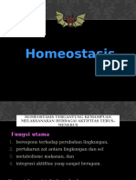 3. Homeostasis & Maintenain Cell