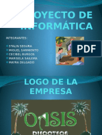 proyectodeinformtica-100409233213-phpapp02