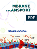 3. Transport Membran