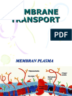 Transport Membran