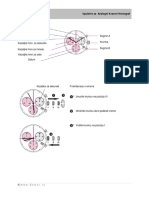 Uputstvo Za ANALOGNI KVARCNI HRONOGRAF PDF