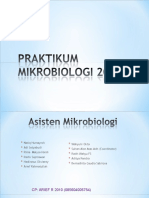 Praktikum Mikrobiologi 2013