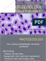 Blood Proto I2013