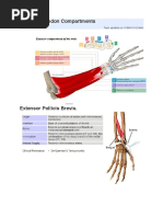 Orthobullet Hand