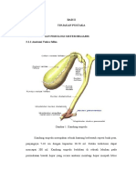 BAB II Referat Obstruksi Biliar