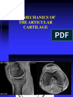 Biomechanics of The Articular Cartilage