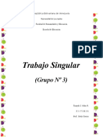 Trabajo Singular Estetica Grupo 3 Tinaydi Niño