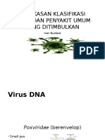 Ringkasan Klasifikasi Virus
