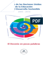 DECENIO ONU.pdf