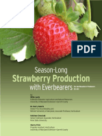 Everbearing_Strawberry_Guide.pdf