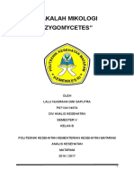 MAKALAH ZYGOMYCETES.docx