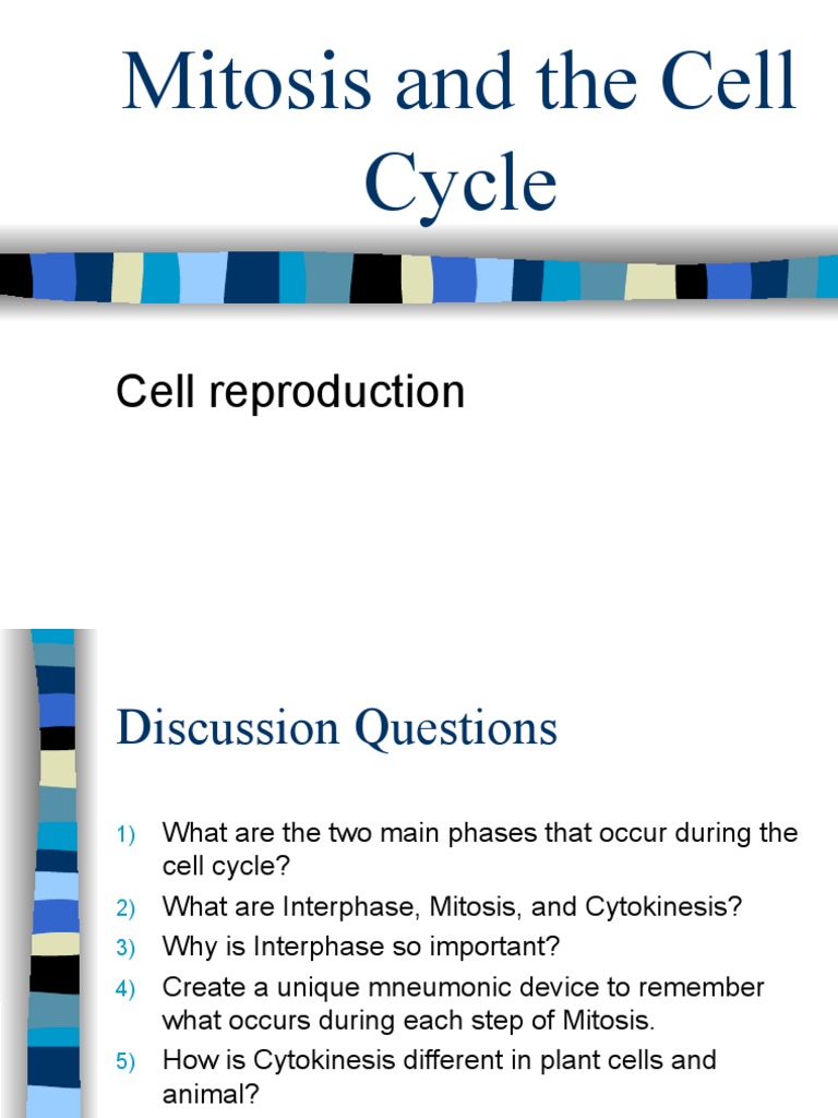 Mitosis and The Cell | PDF | Mitosis | Cell Cycle