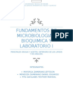 Ensayo de Micro Principales Grasas y Aceites y Deterioro de Los Lipidos y Iso Analisis