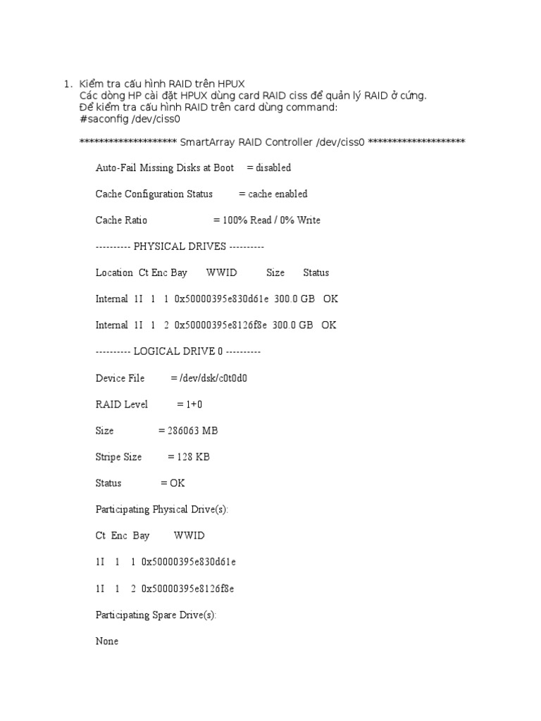 6.check RAID Config | PDF
