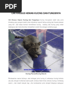 Ciri Khusus Hewan Kucing Dan Fungsinya