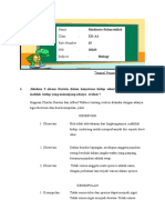 Tugas Biologi (Evolusi) Tahun Ajaran 2012-2013 Semester 2