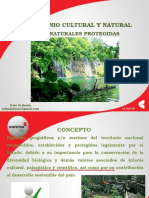 Áreas Naturales Protegidas 2015-I (1)