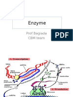 Enzyme: Prof Bagiada CBM Team