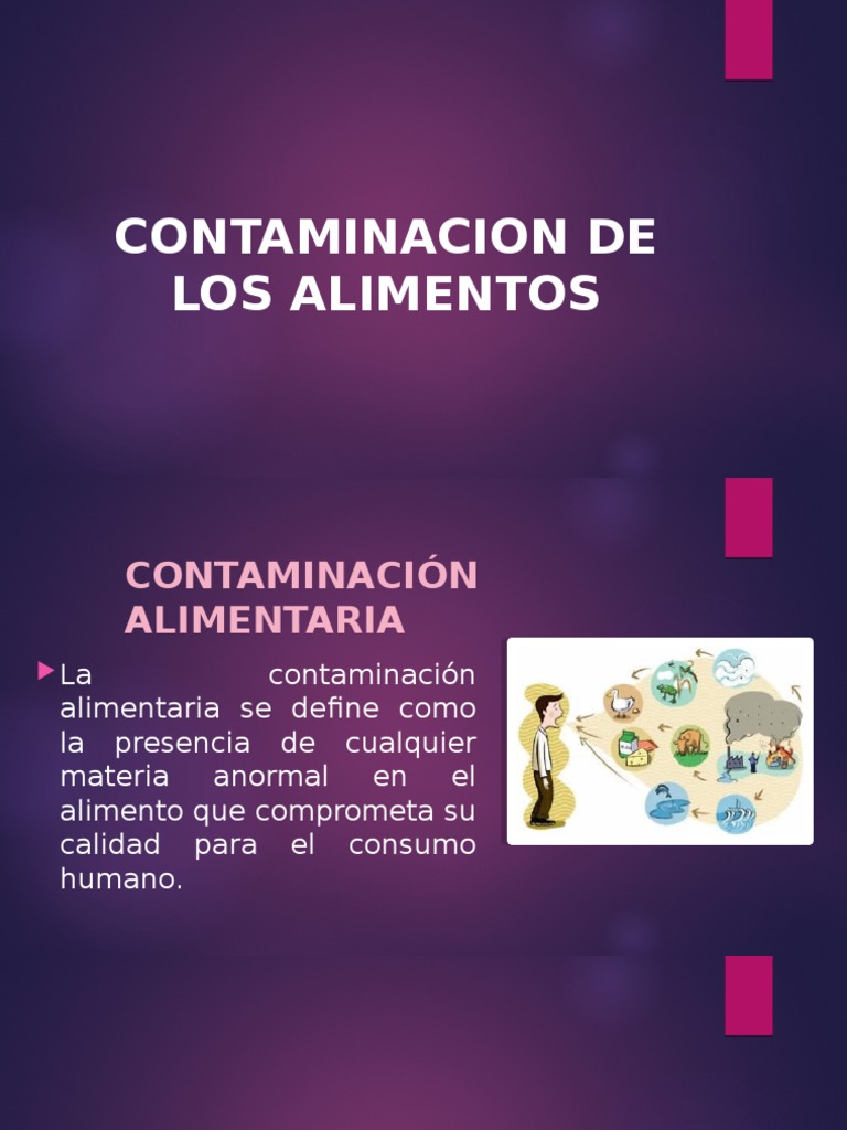 La contaminación de los alimentos: tipos, causas y efectos | PDF | Las ...