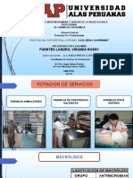 exposicion practicas primer nivel (1).pptx