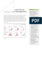 DS QlikView For Cashflow and Balance Sheet Management en