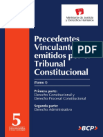 Precedentes Vinculantes Emitidos Por El Tribunal Constituciona, Tomo I