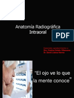 Anatomia Radiografica 14