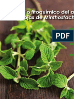 Estudio Fitoquimico Del Aceite Esencial de Las Hojas de Minthostachys Mollis (Muña)