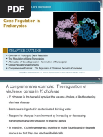 Gene Regulation in Prokaryotes 0