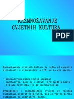 Razmnozavanje