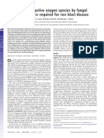 Produccion de Especies Reactivas Por Las Plantas Como Defensa Contra La Infeccion de Microorganis PDF