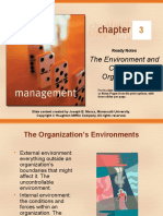 The Environment and Culture of Organizations: Ready Notes
