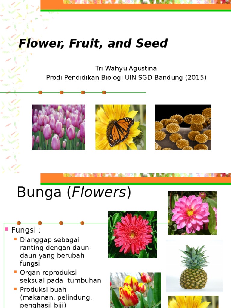 Anatomi Bunga