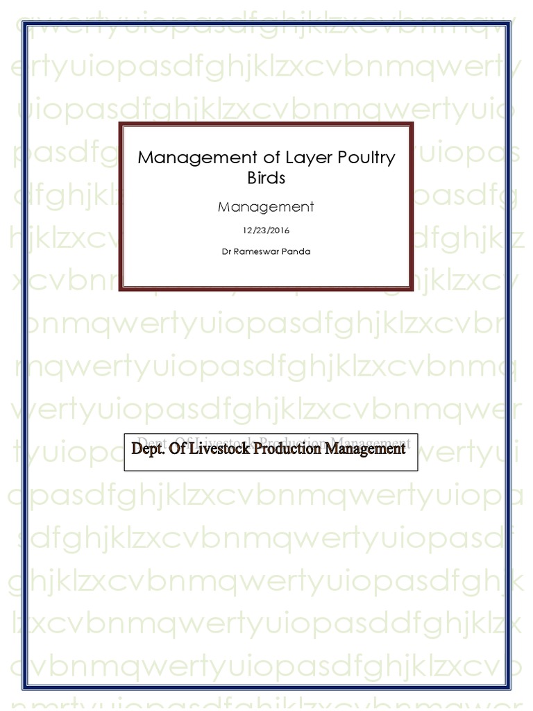Download Management of Layer Poultry Birds | Chicken | Birds