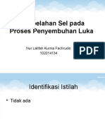 Pembelahan Sel Pada Proses Penyembuhan Luka