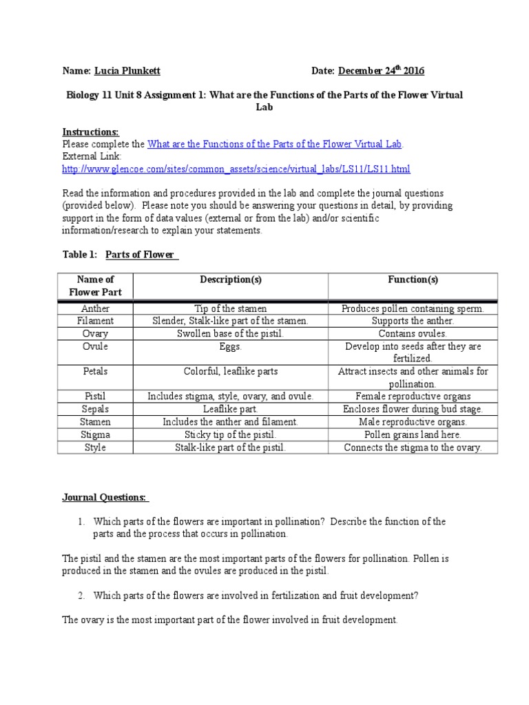 Biology 11 Unit 8 Assignment 1 What Are The Functions of The Parts of
